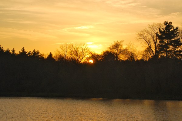 Golden Sunsetphoto by Mary McAvoy