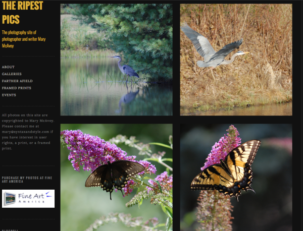 Gridspace theme in customized "square" thumbnail orientation