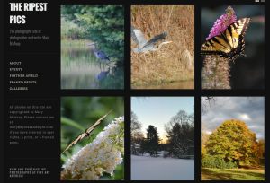 TheRipestPics on Gridspace at WordPress
