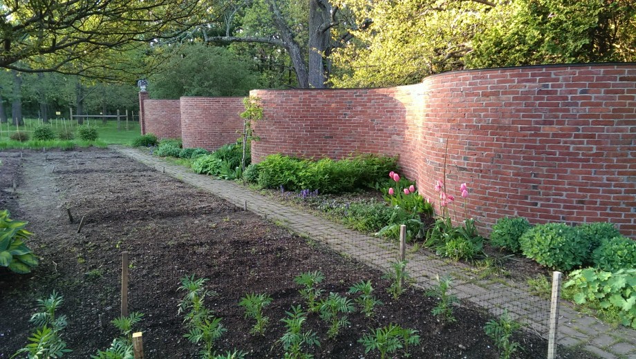 crinkle-crankle ribbon-like brick wall at Stevens Coolidge Place