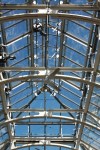 Tower Hill Botanic Garden glass ceiling of the&nbsp;Limonaia