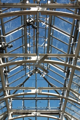 Limonaia glass ceiling at Tower Hill Botanic Garden
