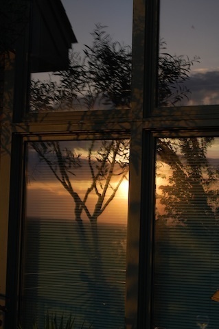 reflection of sunset in window at Tower Hill Botanic Garden